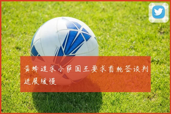 黄蜂追求小萨国王要求首轮签谈判进展缓慢