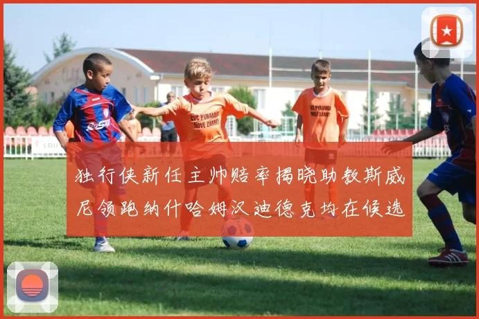 独行侠新任主帅赔率揭晓助教斯威尼领跑纳什哈姆汉迪德克均在候选之中